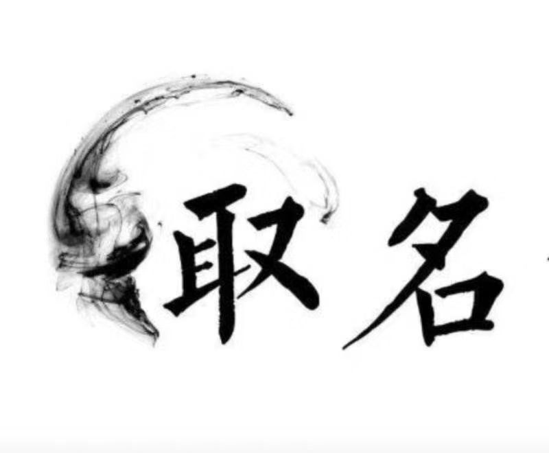  汉寿宝宝取名 大师一对一人工起名